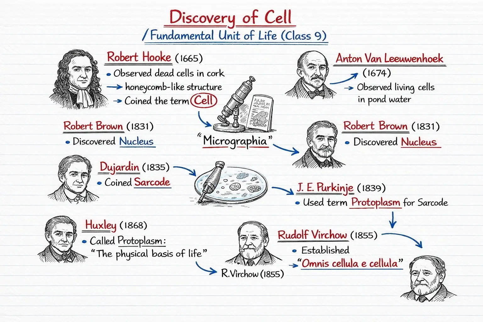 Infographic Note Preview