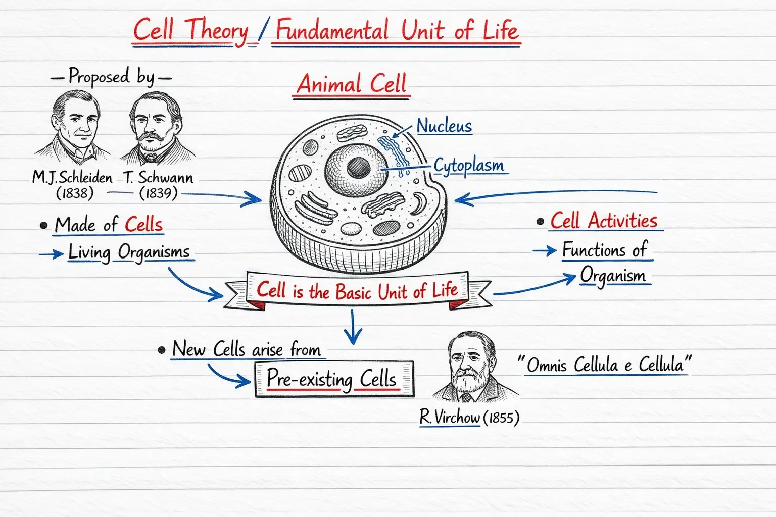 Cell Notes Preview Page 2