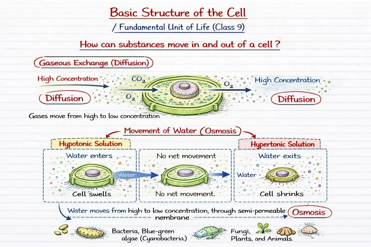 Locked Cell Notes Preview