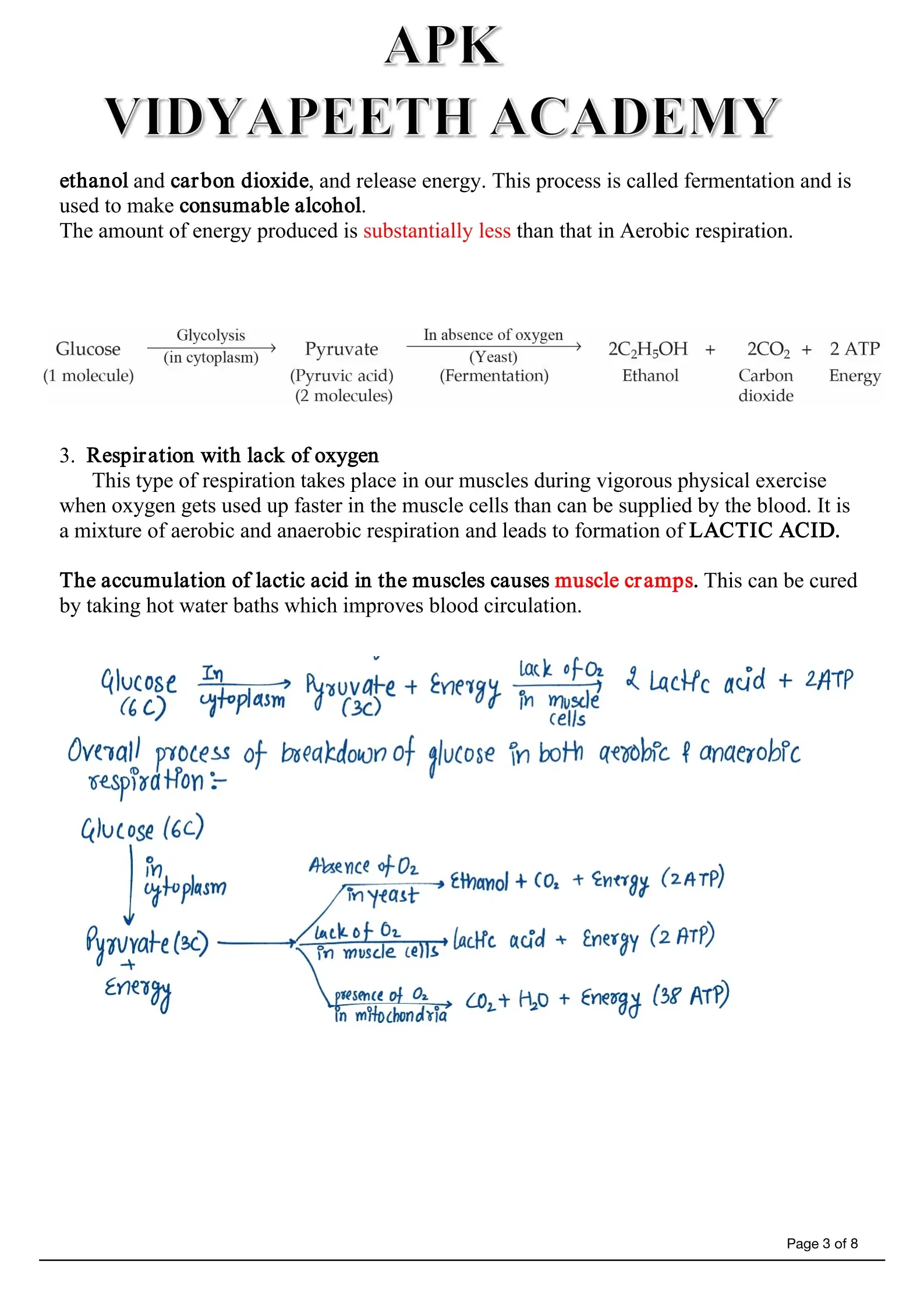 Cell Notes Preview Page 3