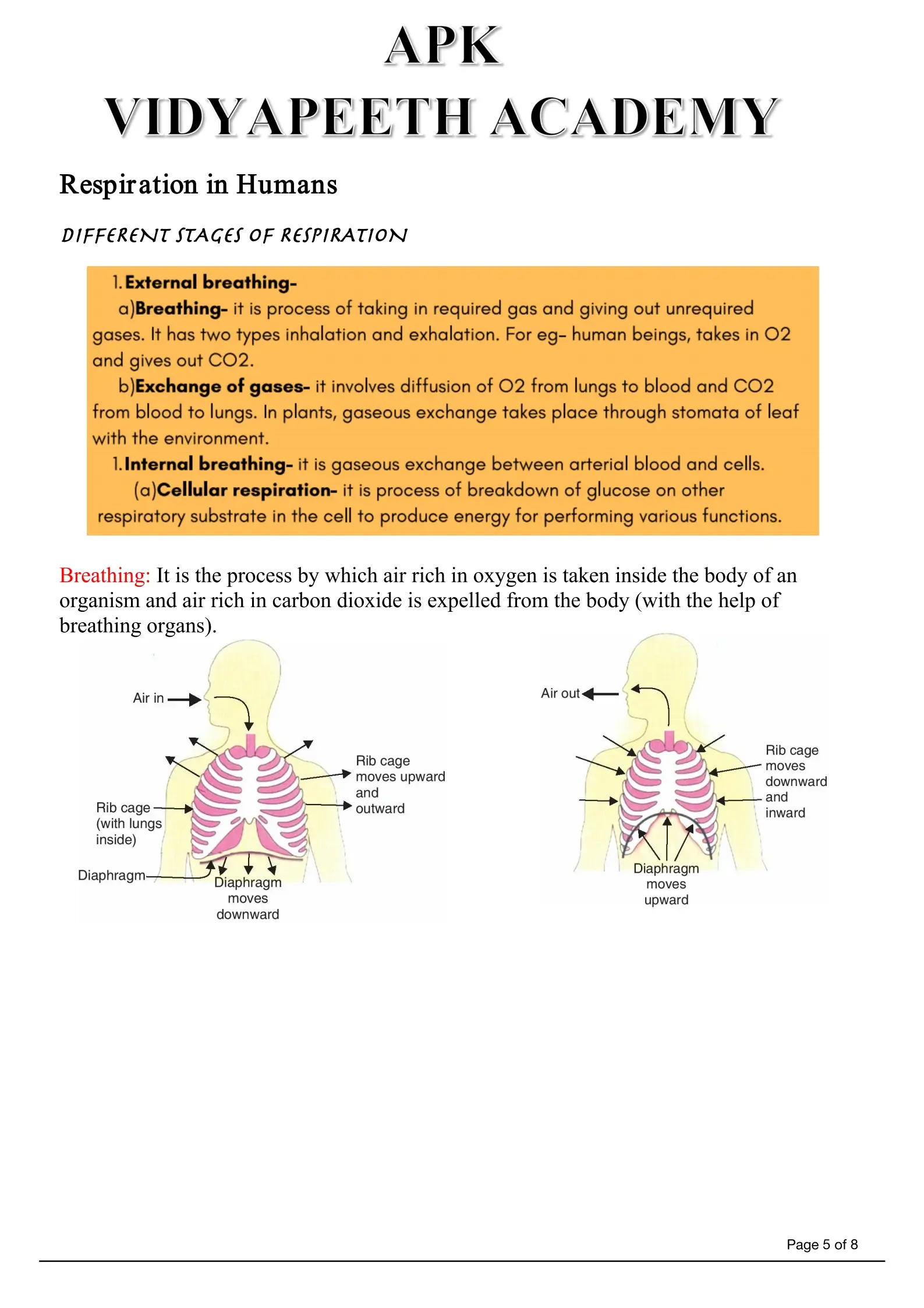 Locked Cell Notes Preview