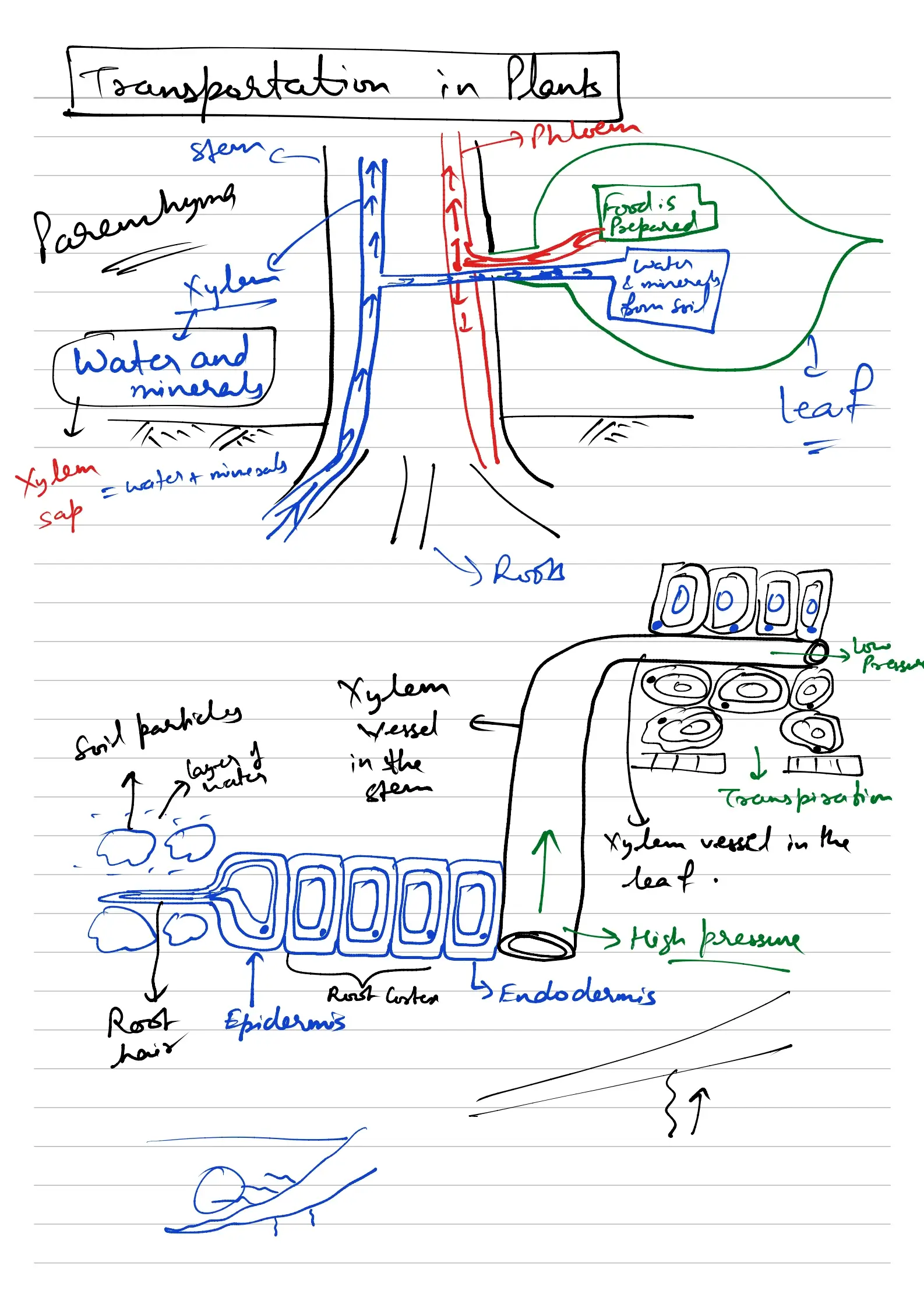 Handwritten Note Preview
