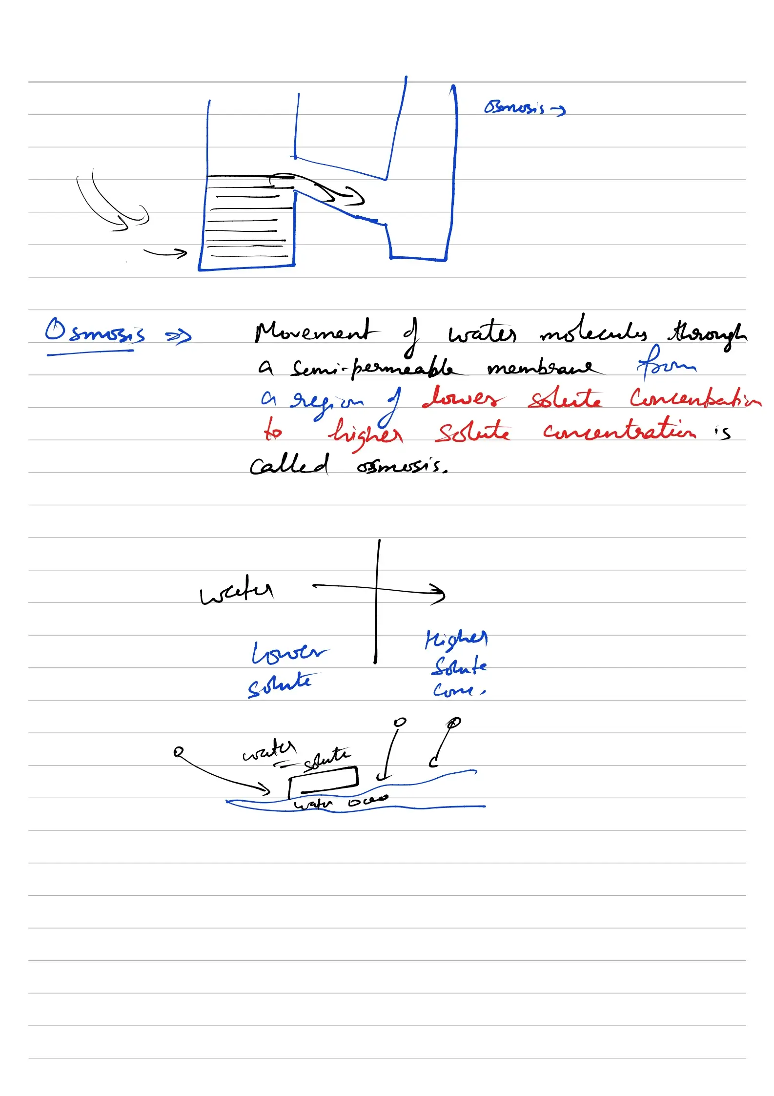 Cell Notes Preview Page 2