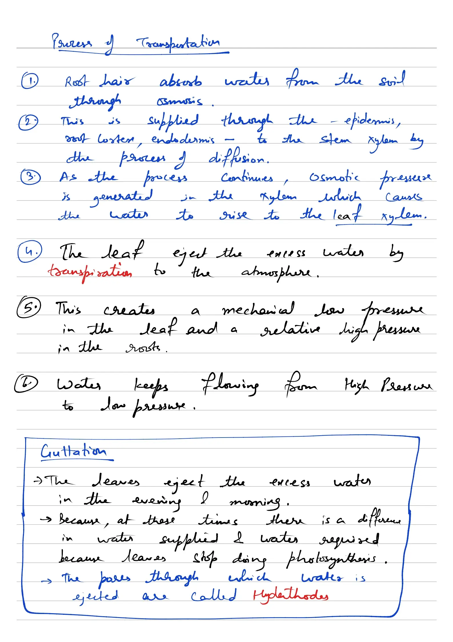 Cell Notes Preview Page 3