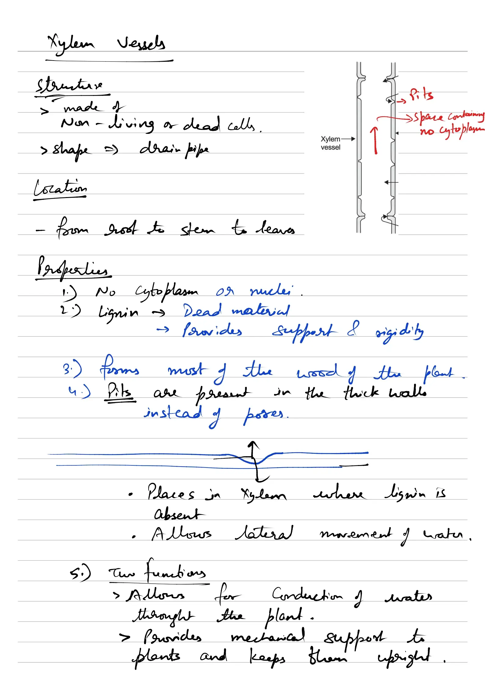 Cell Notes Preview Page 4