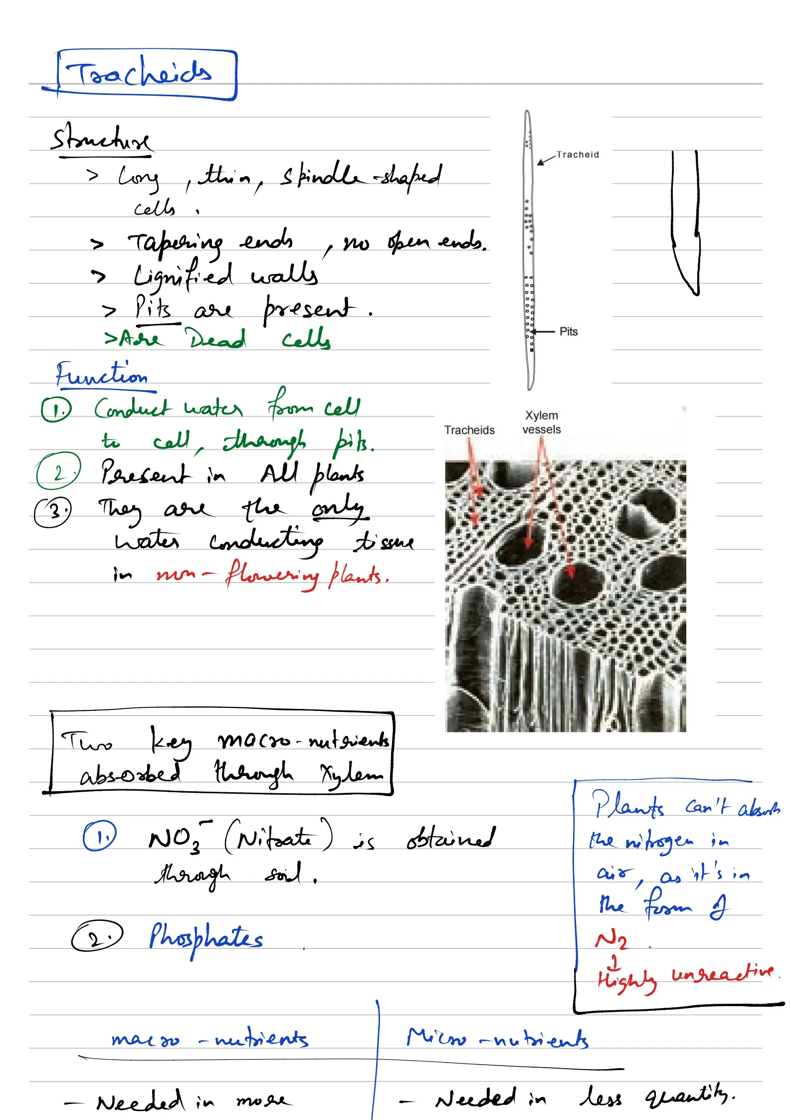 Locked Cell Notes Preview