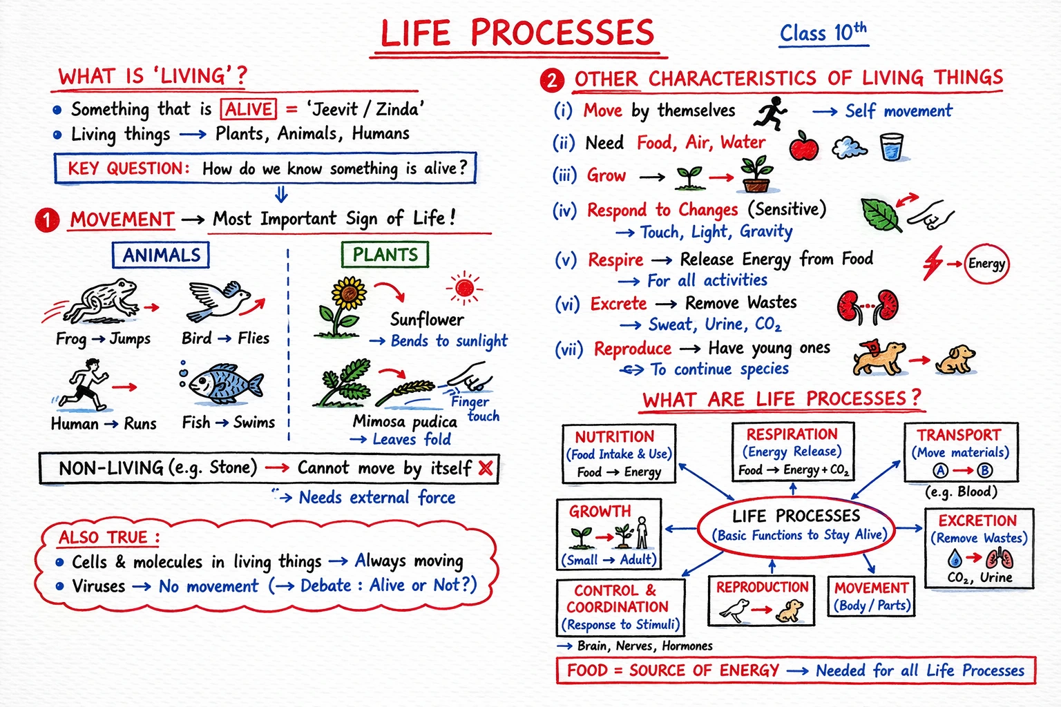 Infographic Note Preview