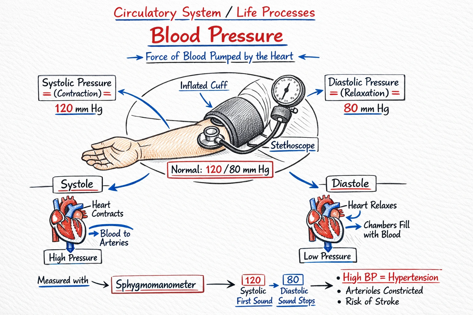 Locked Cell Notes Preview
